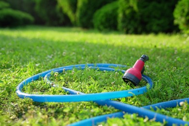 Light blue hose on lawn in backyard, closeup