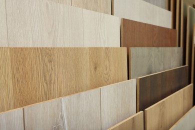 Photo of Many different samples of wooden flooring in store, closeup