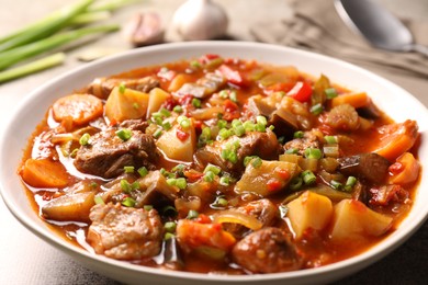 Delicious stew with vegetables in bowl on table, closeup