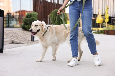 Photo of Owner walking with cute Golden Retriever dog outdoors, closeup