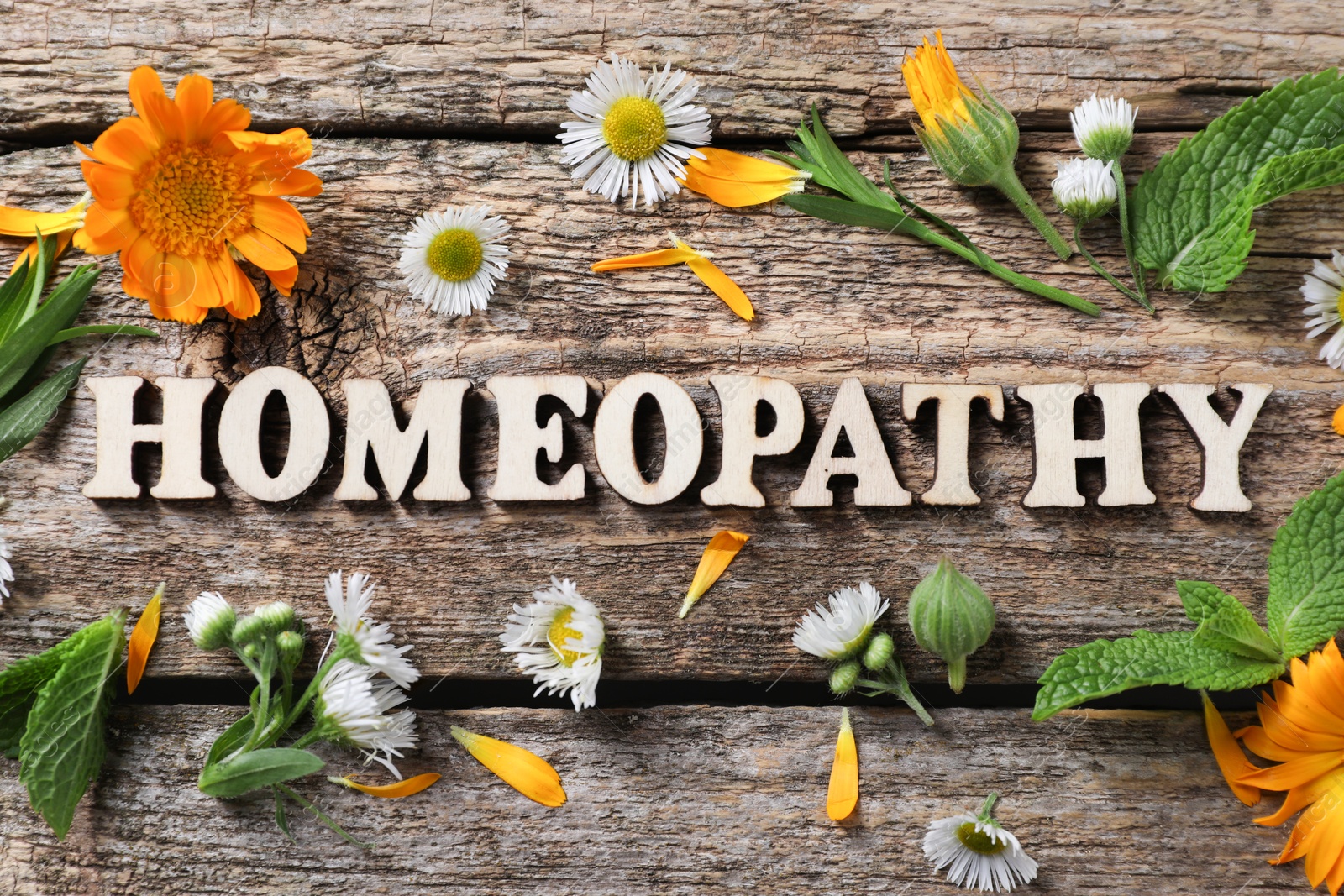 Photo of Word Homeopathy and medicinal herbs on wooden background, flat lay