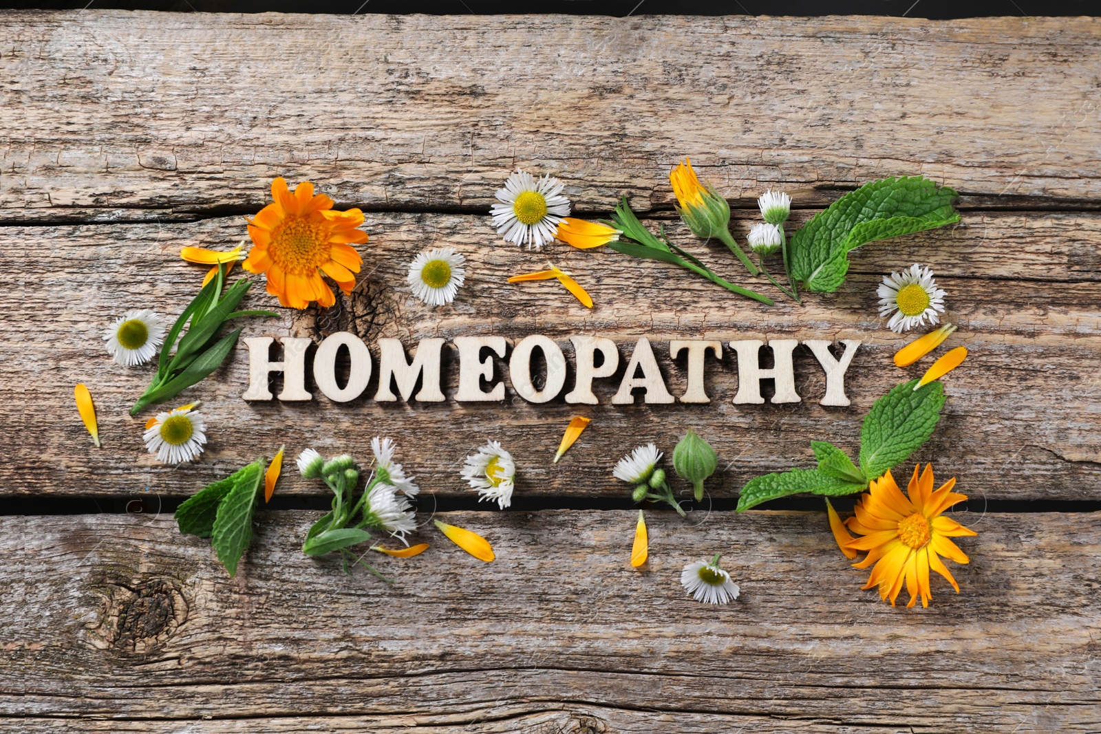 Photo of Word Homeopathy and medicinal herbs on wooden background, flat lay