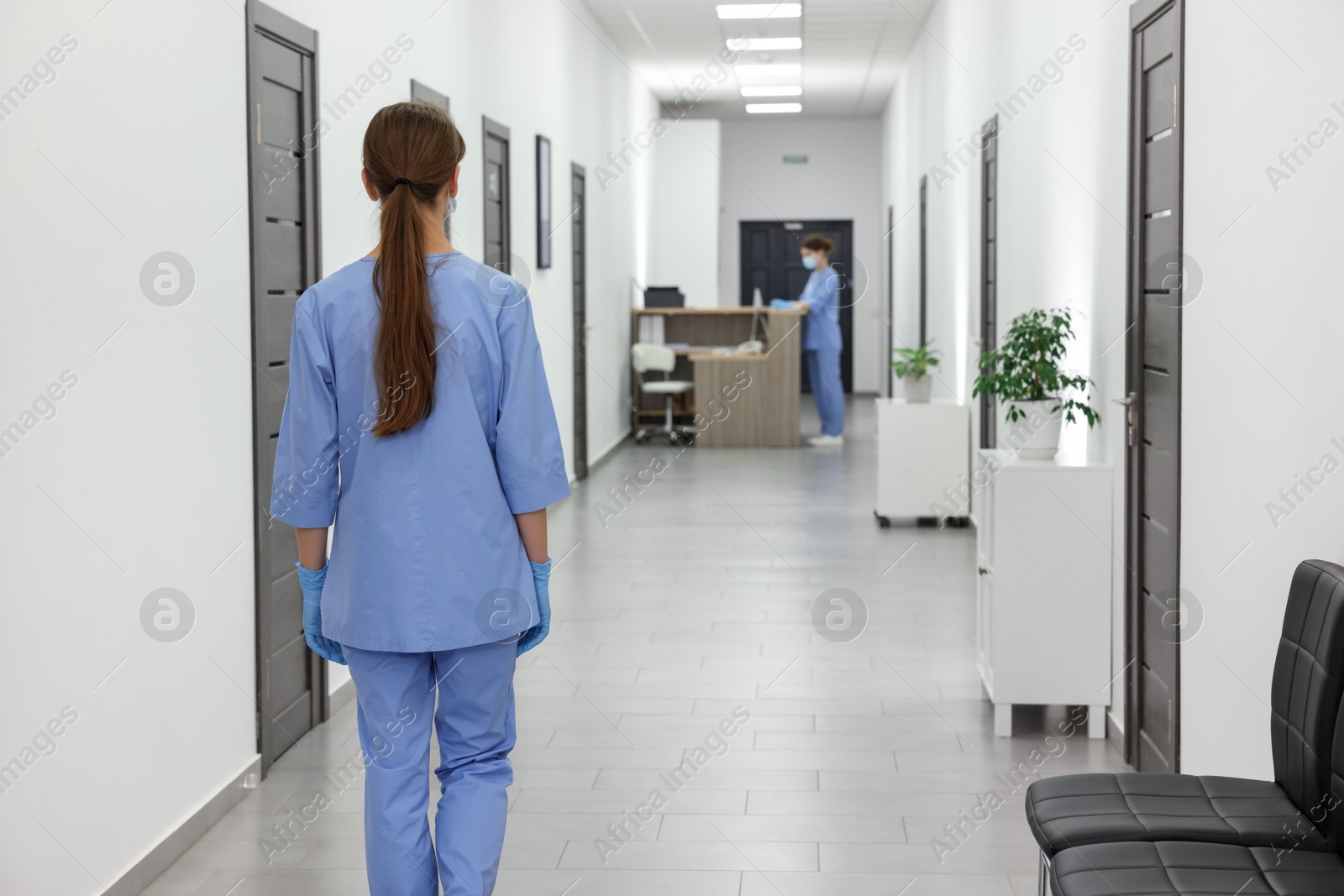 Photo of Nurse in uniform walking in hospital hallway, back view