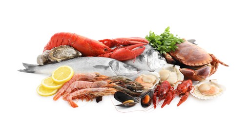 Many different sea food, parsley and lemon isolated on white