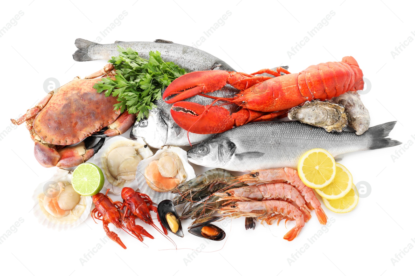 Photo of Many different sea food, parsley, lime and lemon isolated on white, top view