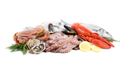 Fresh raw octopus and different sea food isolated on white