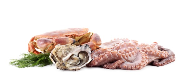 Photo of Fresh raw octopus and different sea food isolated on white