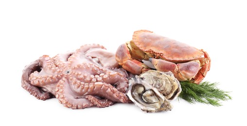 Fresh raw octopus and different sea food isolated on white