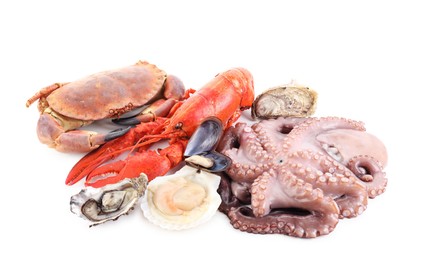 Photo of Fresh raw octopus and different sea food isolated on white