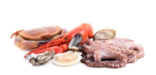 Photo of Fresh raw octopus and different sea food isolated on white