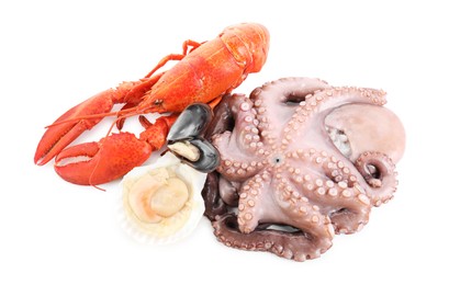 Fresh raw octopus and different sea food isolated on white, top view