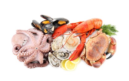 Photo of Fresh raw octopus and different sea food isolated on white