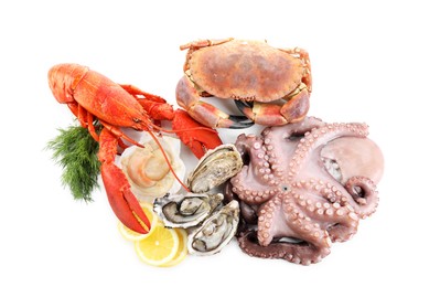 Fresh raw octopus and different sea food isolated on white, top view