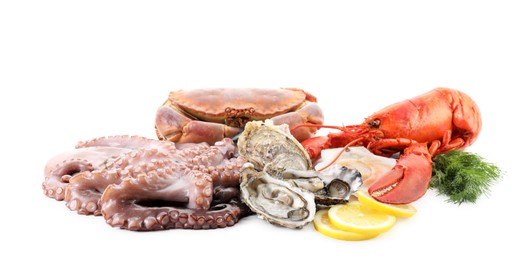 Fresh raw octopus and different sea food isolated on white