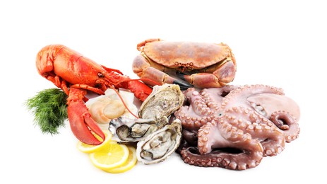 Fresh raw octopus and different sea food isolated on white