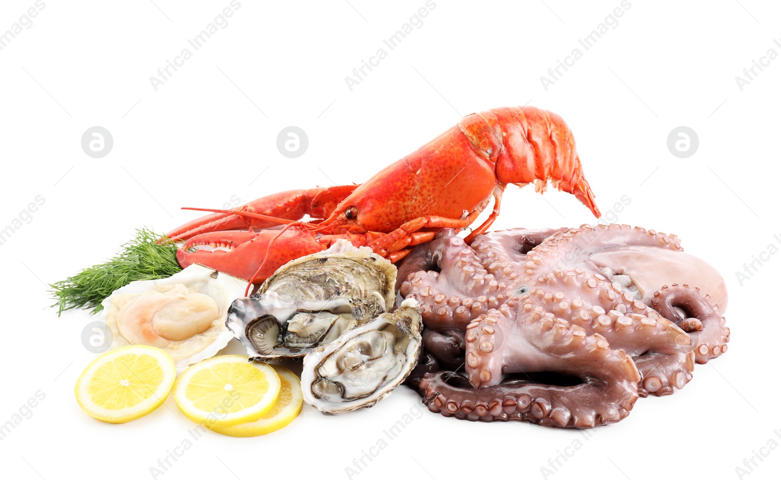 Photo of Fresh raw octopus and different sea food isolated on white