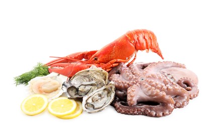 Photo of Fresh raw octopus and different sea food isolated on white