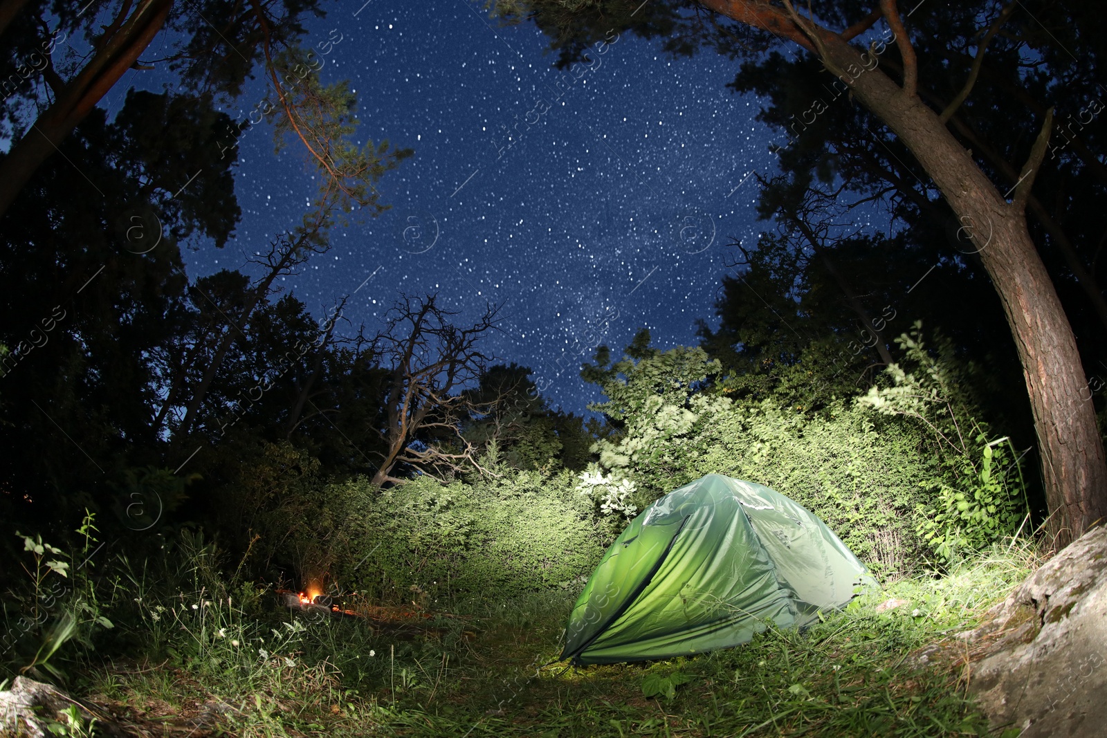 Photo of Modern camping tent and bonfire in forest at night. Fisheye lens effect