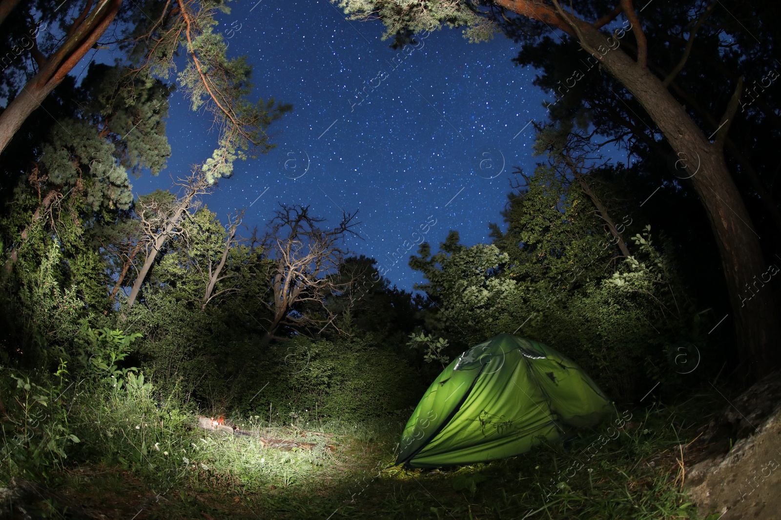 Photo of Modern camping tent and bonfire in forest at night. Fisheye lens effect