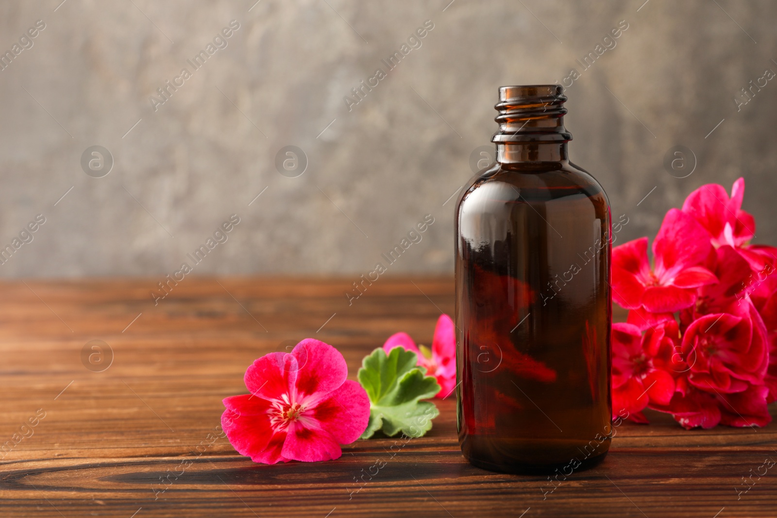 Photo of Geranium essential oil in bottle and beautiful flowers on wooden table, space for text