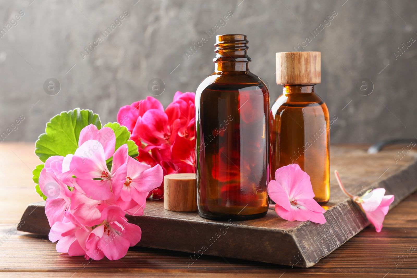 Photo of Geranium essential oil in bottles and beautiful flowers on wooden table