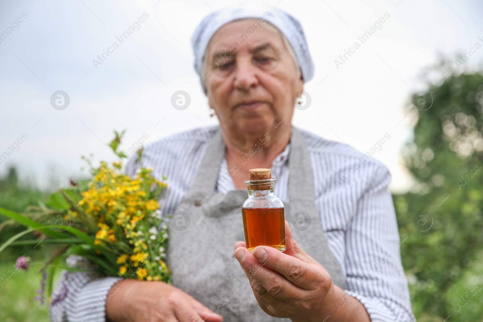 Photo of Senior woman with tincture and herbs outdoors, selective focus