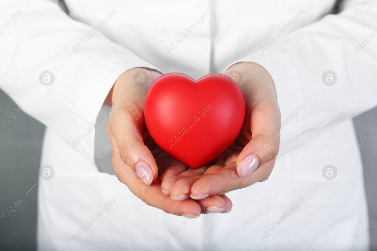 Photo of Doctor holding red heart on grey background, closeup