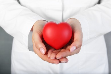 Doctor holding red heart on grey background, closeup