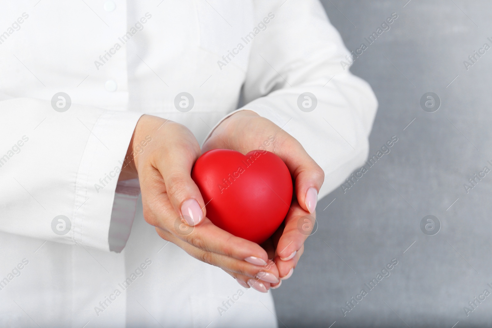 Photo of Doctor holding red heart on grey background, closeup. Space for text