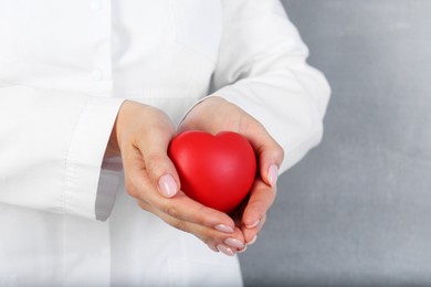 Photo of Doctor holding red heart on grey background, closeup. Space for text