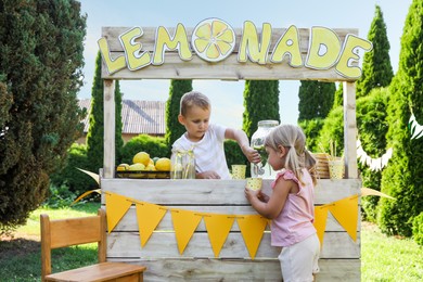 Cute little boy selling natural lemonade to girl in park