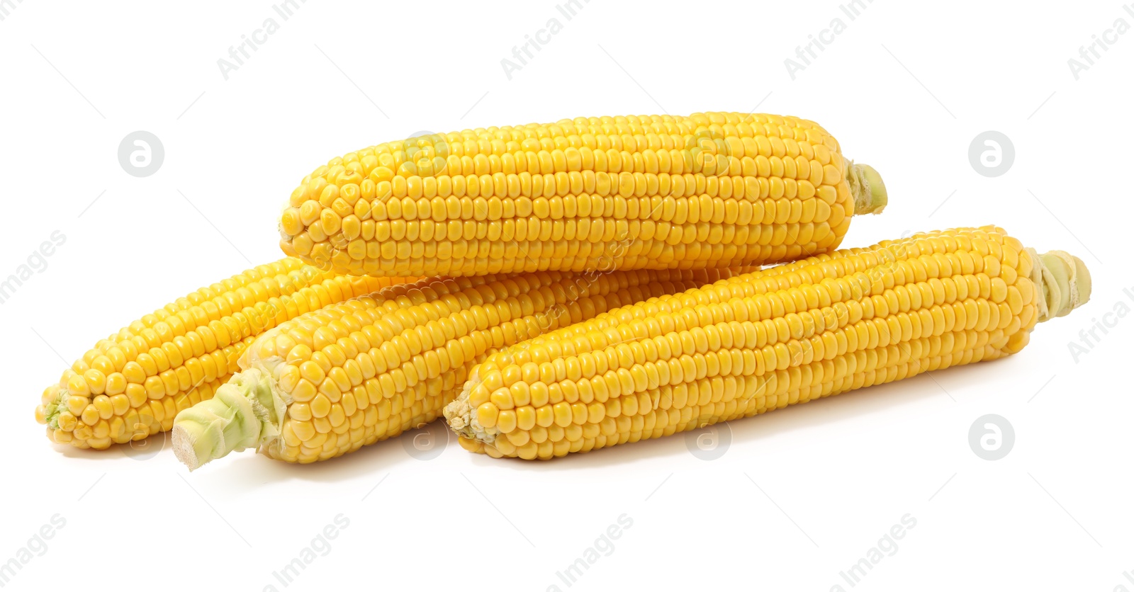 Photo of Many fresh ripe corncobs isolated on white