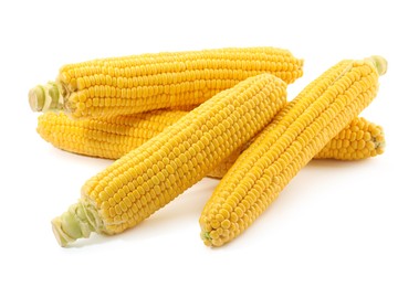 Many fresh ripe corncobs isolated on white