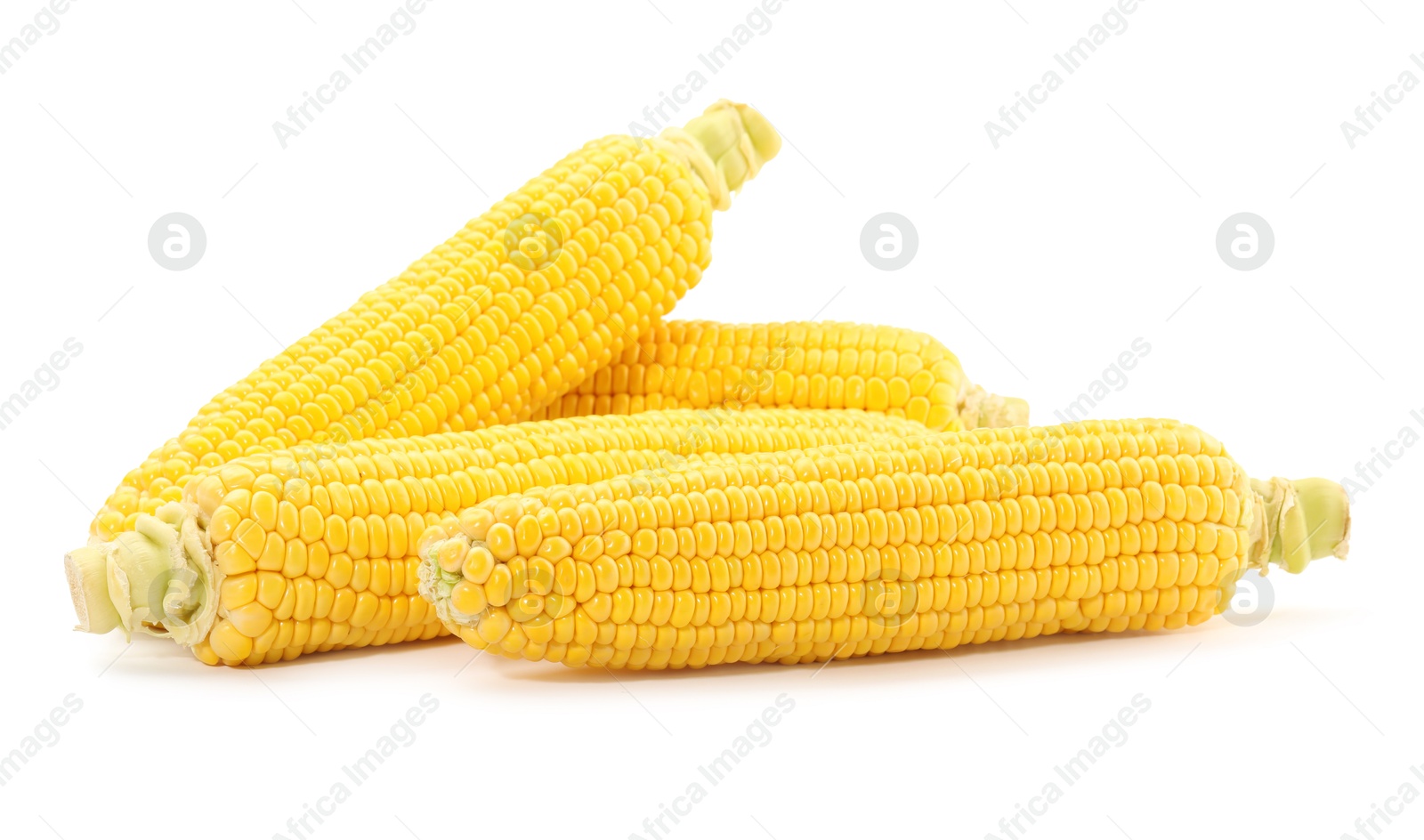 Photo of Many fresh ripe corncobs isolated on white