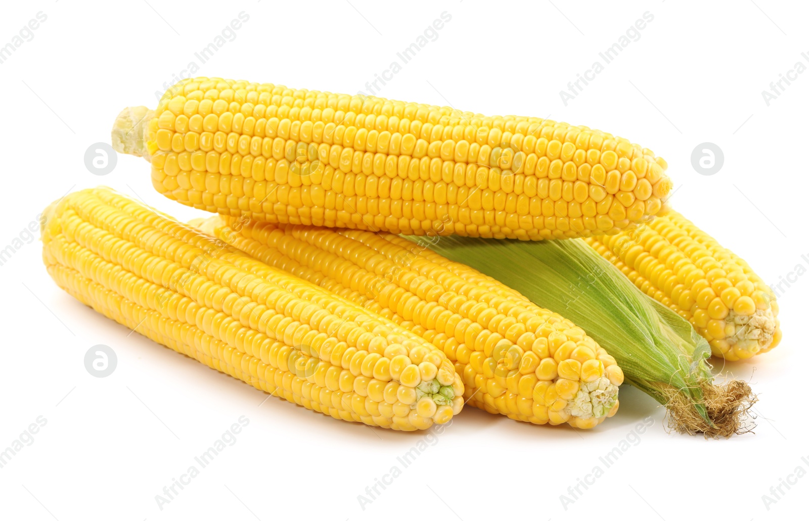 Photo of Many fresh ripe corncobs isolated on white