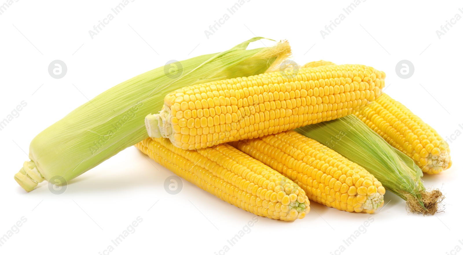 Photo of Many fresh ripe corncobs isolated on white