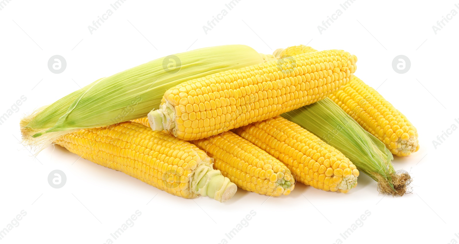 Photo of Many fresh ripe corncobs isolated on white