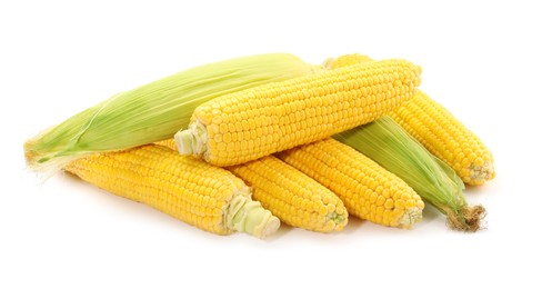 Photo of Many fresh ripe corncobs isolated on white