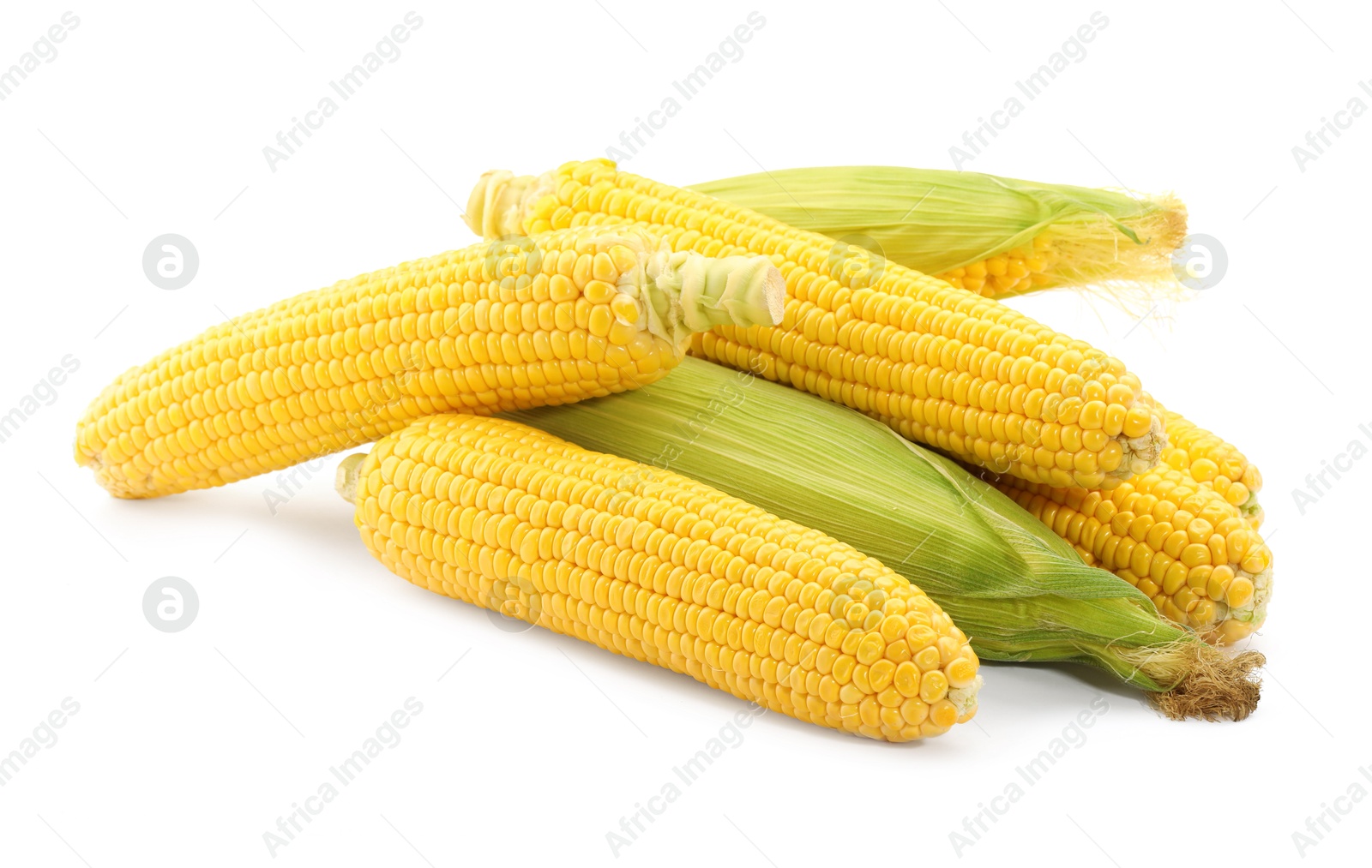 Photo of Many fresh ripe corncobs isolated on white