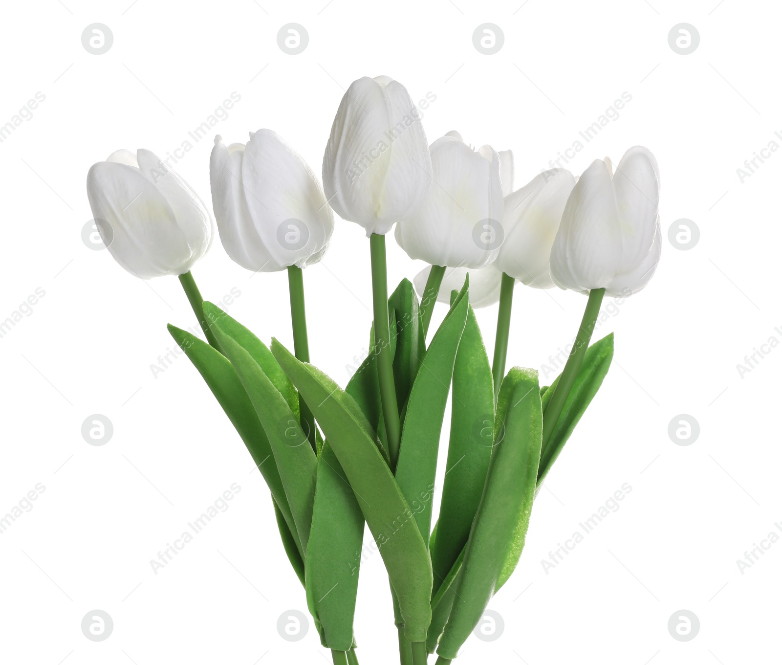 Photo of Many beautiful artificial tulip flowers isolated on white