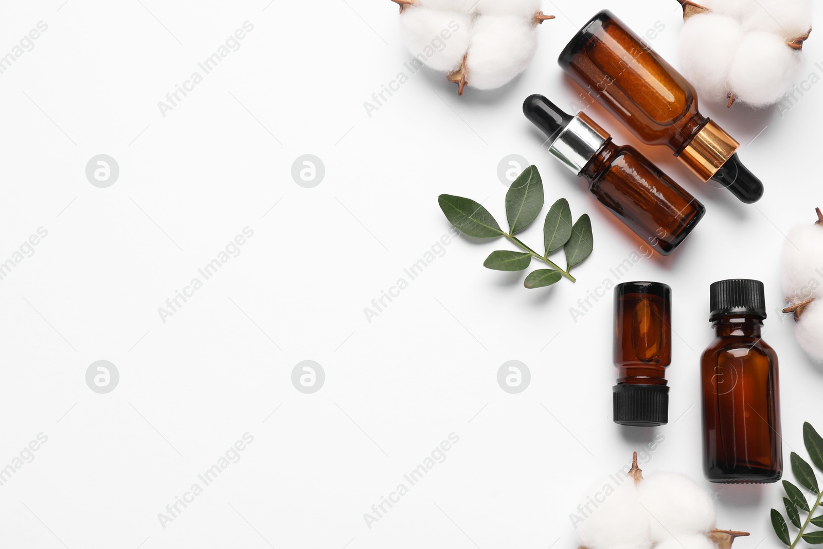 Photo of Different cosmetic products, cotton flowers and leaves on white background, flat lay. Space for text