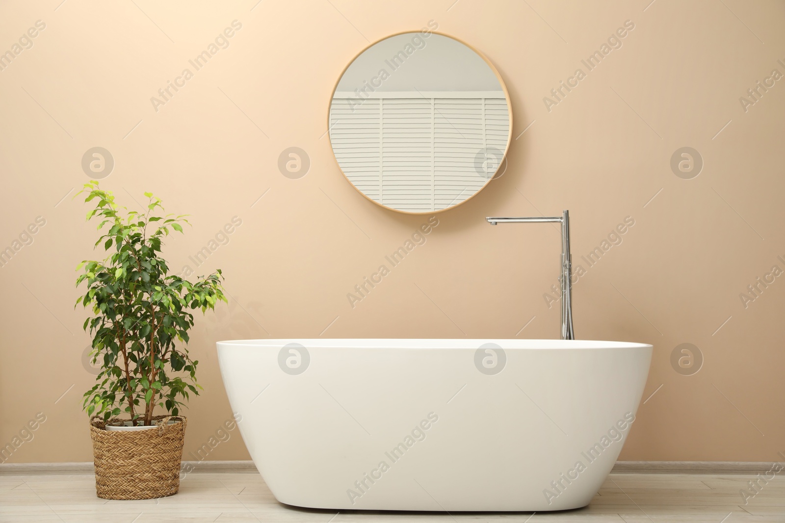 Photo of Bathtub, houseplant and mirror in stylish bathroom