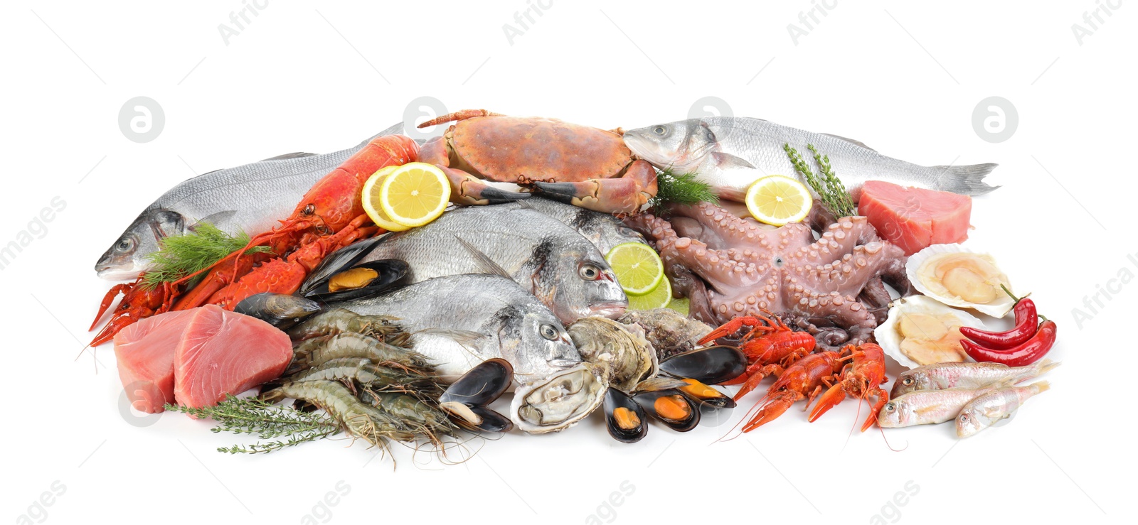 Photo of Fresh fish and different sea food isolated on white