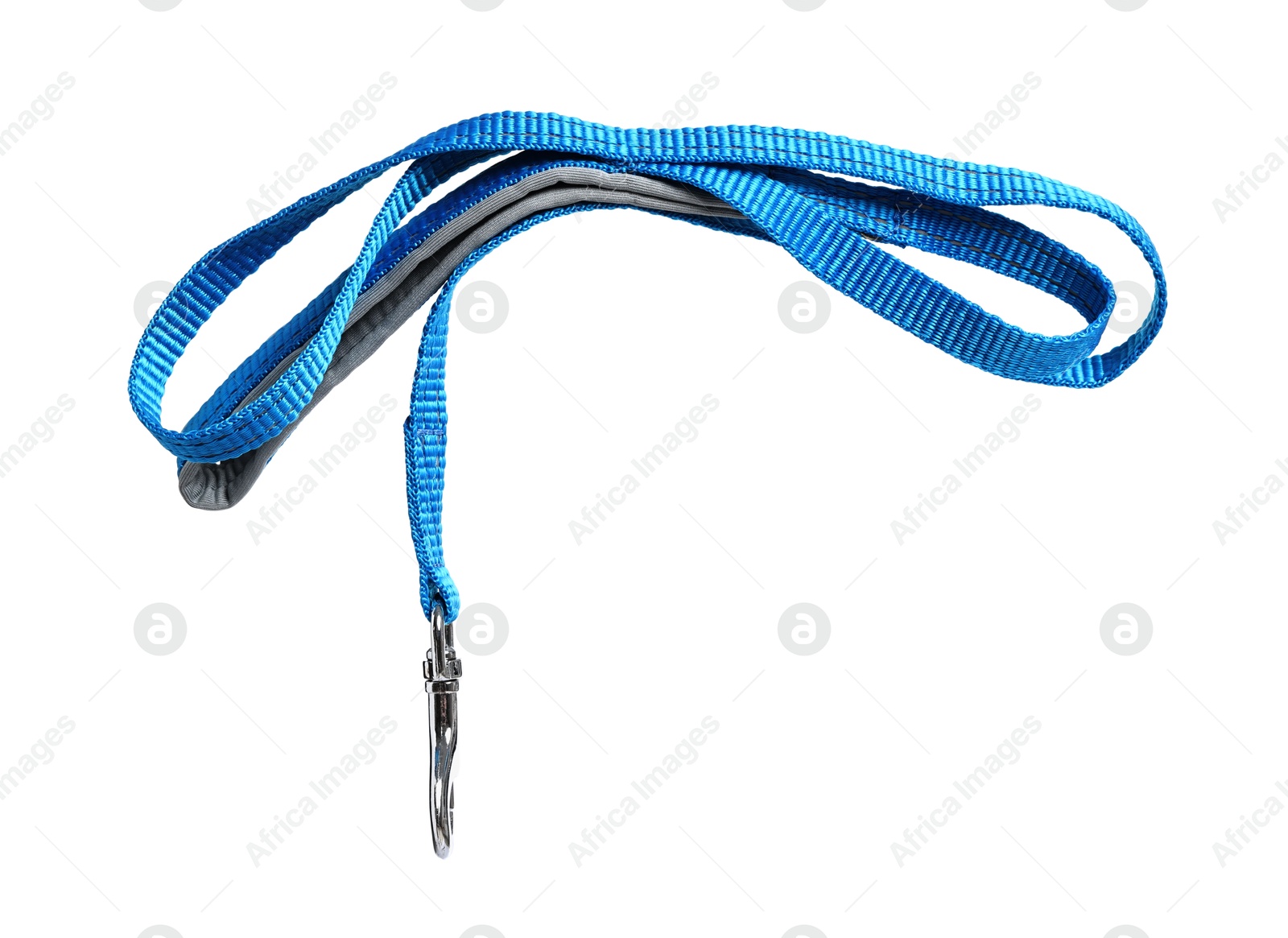 Photo of Light blue dog leash isolated on white