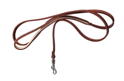 Photo of Brown leather dog leash isolated on white