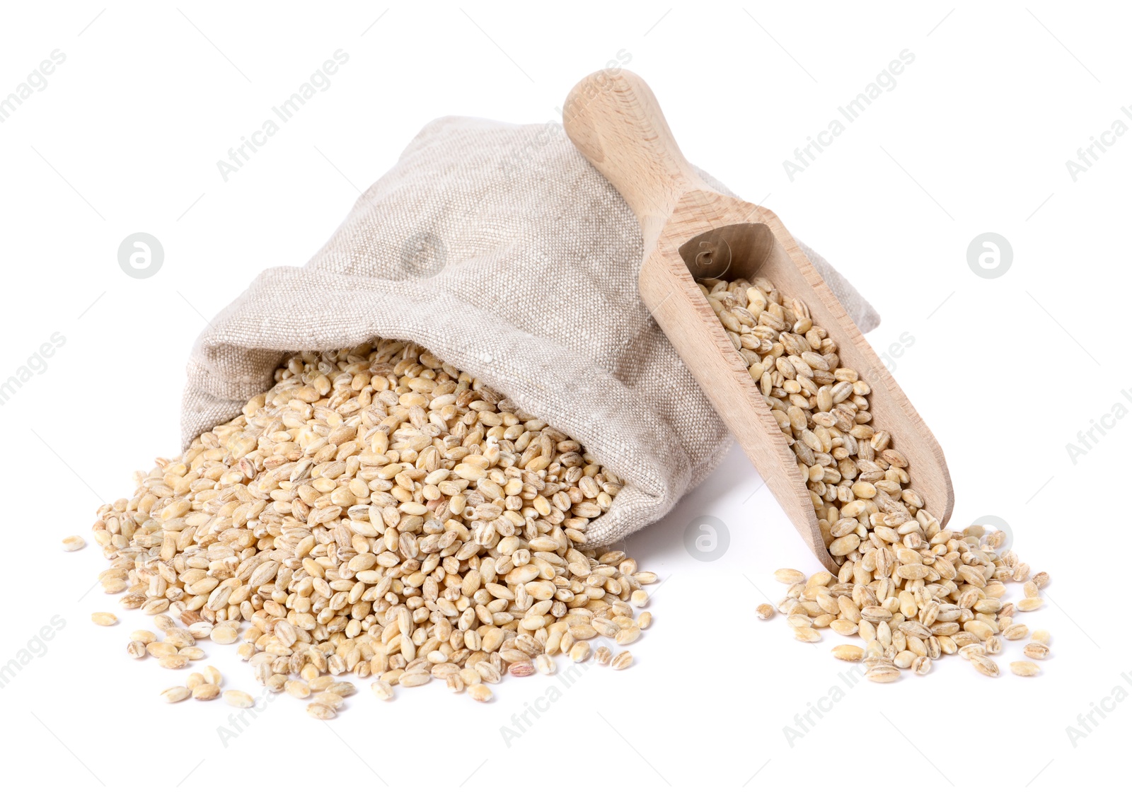 Photo of Pearl barley groats in sack and scoop isolated on white