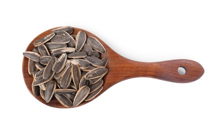 Photo of Sunflower seeds in wooden spoon isolated on white, top view