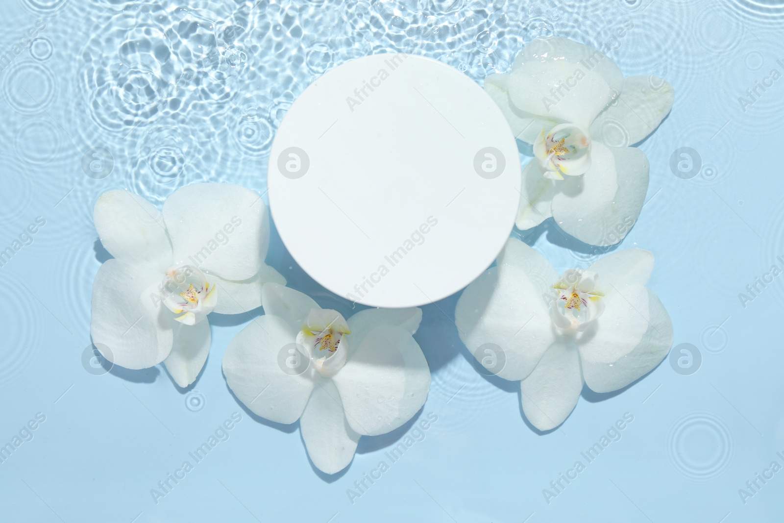 Photo of Beautiful orchid flowers and podium in water on light blue background, flat lay. Presentation for product