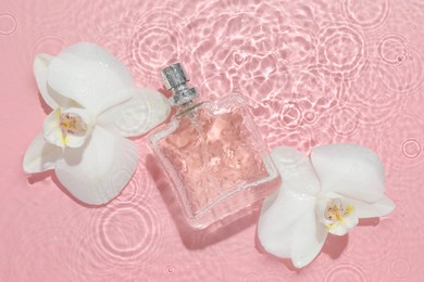 Beautiful orchid flowers and bottle of perfume in water on pink background, flat lay