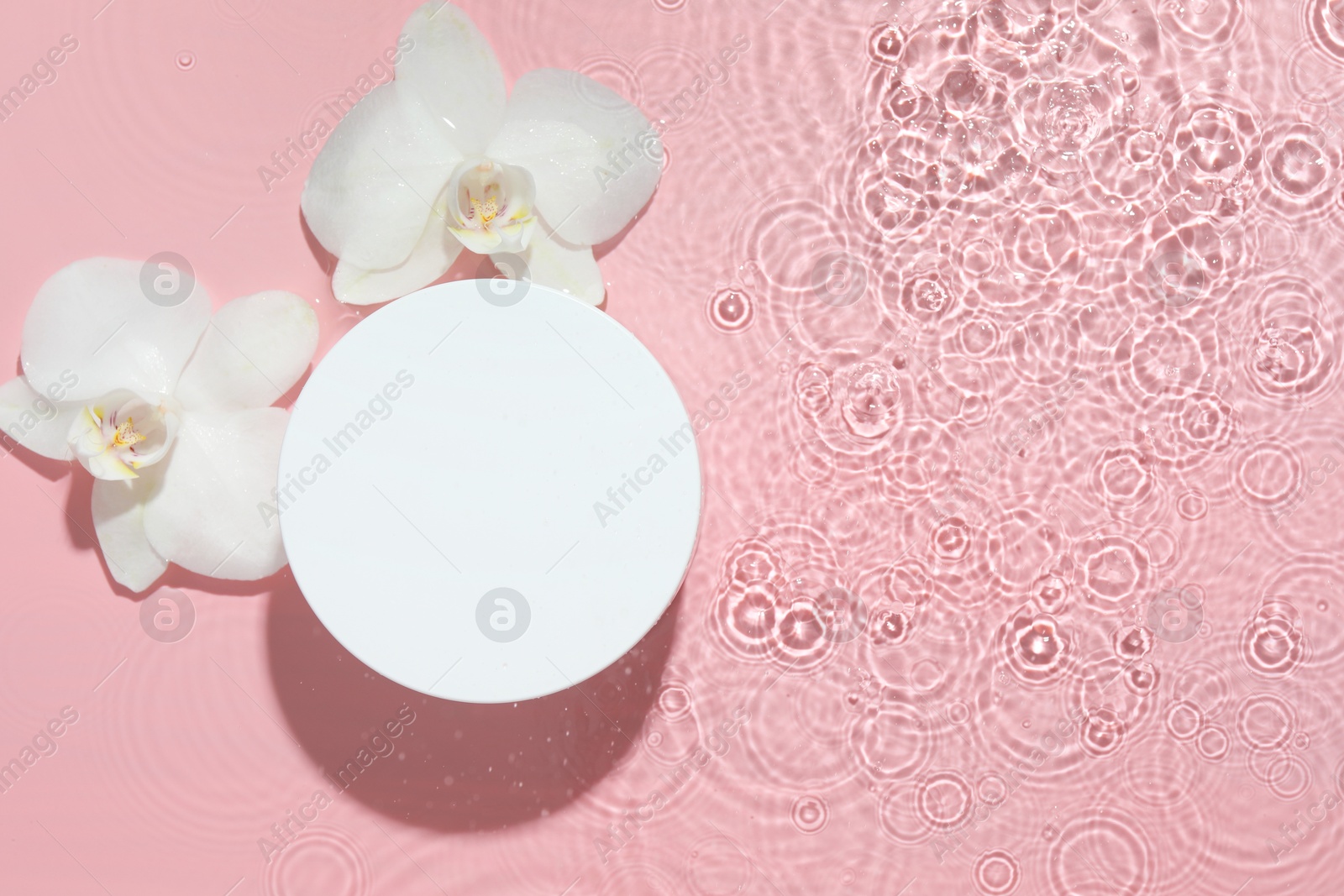 Photo of Product presentation. Beautiful orchid flowers and podium in water on pink background, flat lay. Space for text